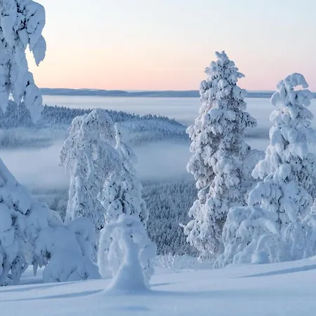 Metsonlinna 204 By In Lapland Apartment Levi