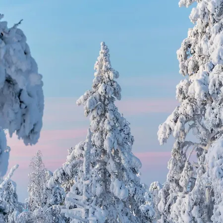 Metsonlinna 204 By In Lapland Apartment Levi